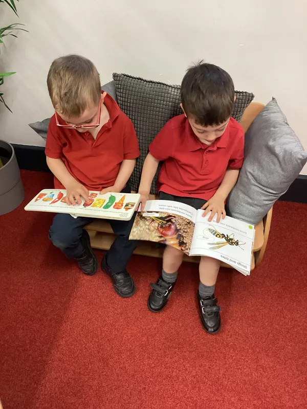 Our Photo Gallery - image 8