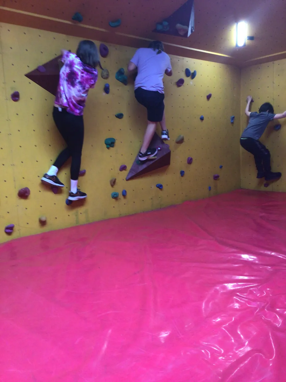 Gallery - created at 2022-06-08 23:46:14 - image 22 Gallery - created at 2022-06-08 23:46:14 - image 22