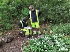 Forest School 101 - image 4 Forest School 101 - image 4