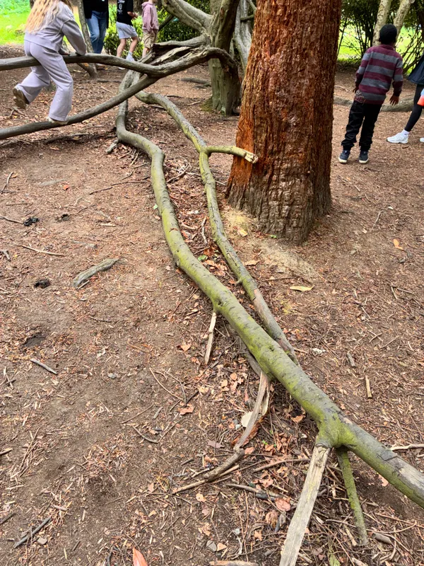 Year 3 Losehill Residential 2026 - image 79