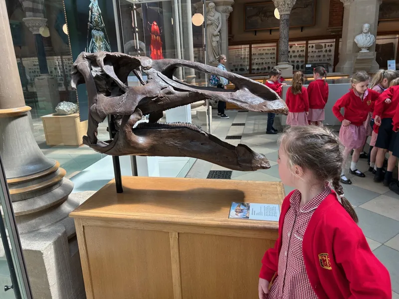 Gallery - created at 2025-05-15 20:19:39 - image 8