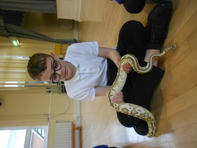 Y6 Reptile Rendezvous - image 58