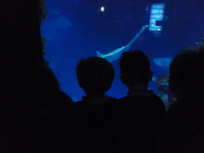 Gallery - created at 2018-07-13 21:34:54 - image 19 Gallery - created at 2018-07-13 21:34:54 - image 19