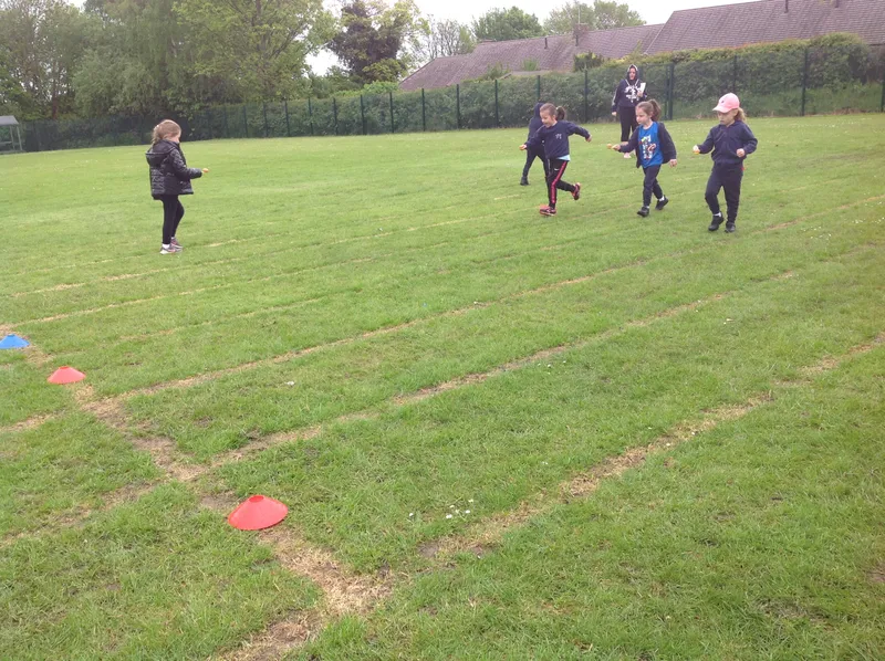 Gallery - created at 2021-06-11 10:23:24 - image 41