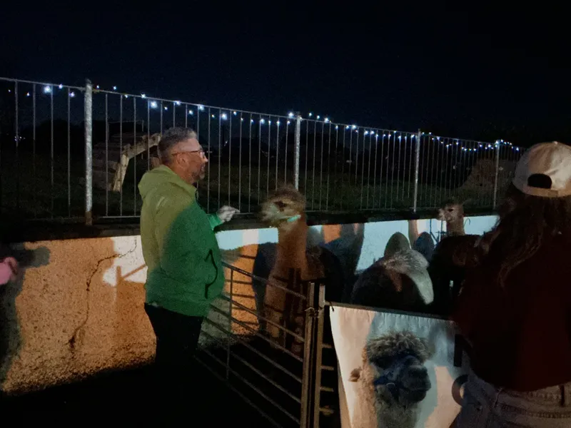 Christmas Fair 2025 - image 8 Christmas Fair 2025 - image 8