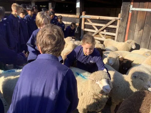 Farm Trip - Gallery 4 - image 25