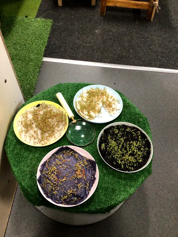 Summer 1 Reception - image 5