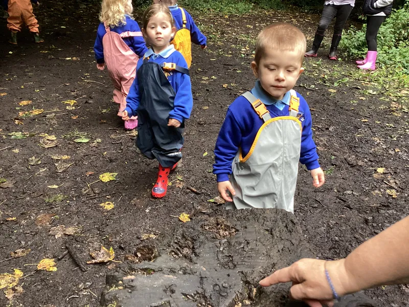 Nursery Fun in the Woods - image 13 Nursery Fun in the Woods - image 13