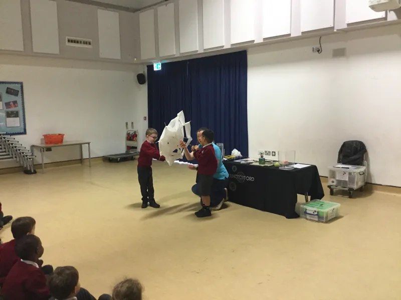 Gallery - created at 2024-05-13 12:16:17 - image 7 Gallery - created at 2024-05-13 12:16:17 - image 7