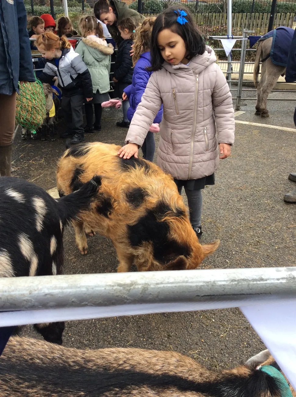 Gallery - created at 2022-03-04 13:11:52 - image 2