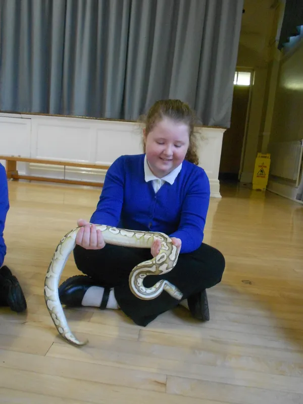 Y6 Reptile Rendezvous - image 61