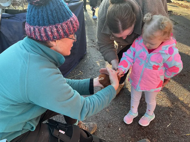 Explorers with Stella on Wheels  - image 34