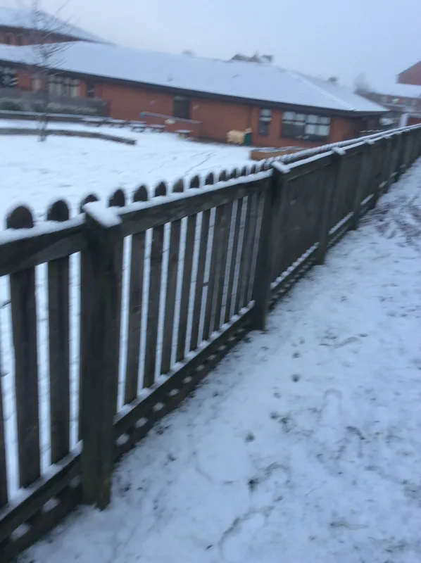 Gallery - created at 2022-12-15 12:27:59 - image 6