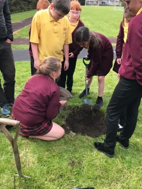 Gallery - created at 2023-03-24 15:06:35 - image 4