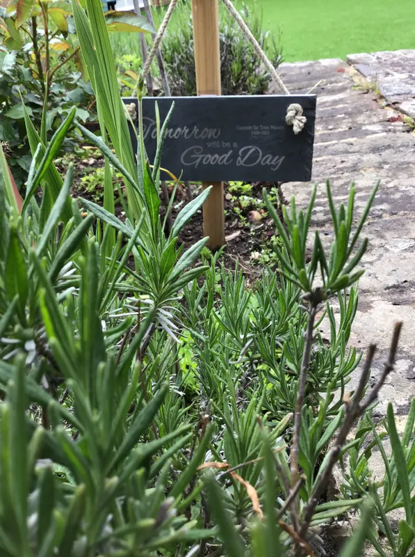 Gallery - created at 2022-12-06 11:29:49 - image 7