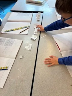 Gallery - created at 2024-07-07 16:01:44 - image 2 Gallery - created at 2024-07-07 16:01:44 - image 2