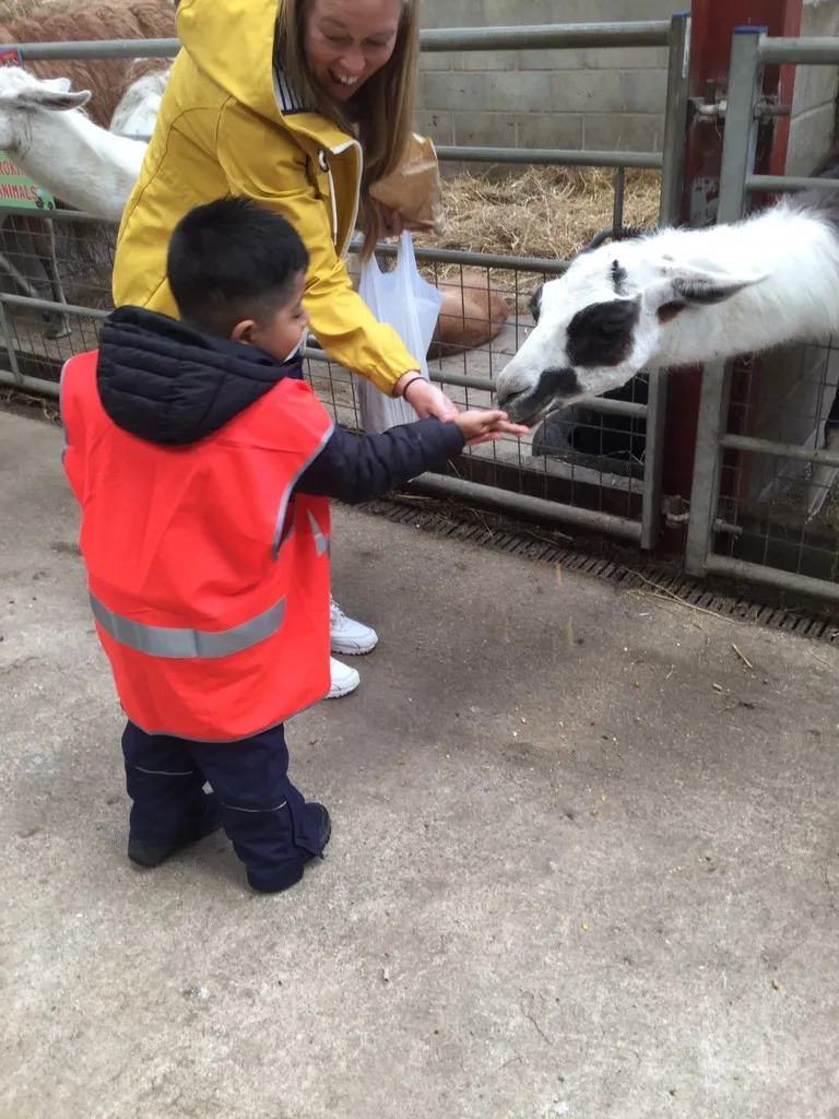 Smithills Farm - image 7