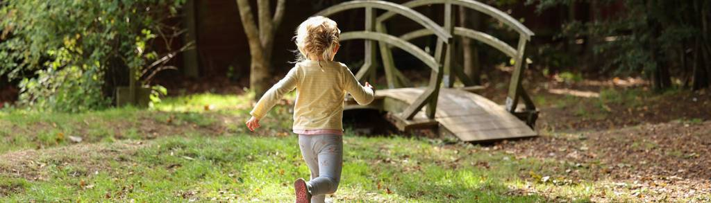 Slideshow 1