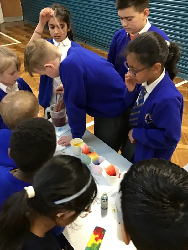 British Science Week - image 1