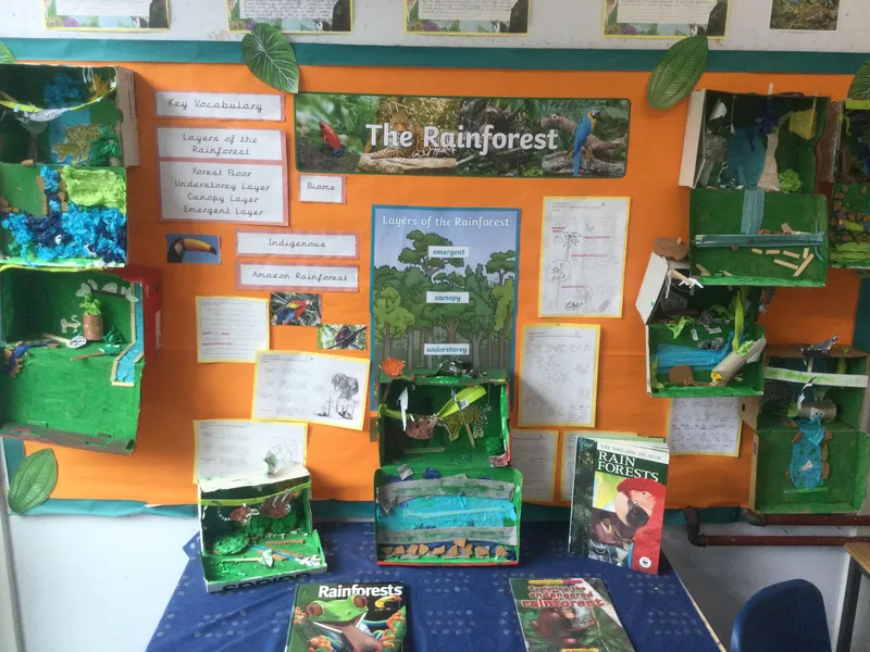 Geography at Gade Valley Primary School - image 1