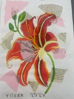 Georgia O'Keeffe - image 9