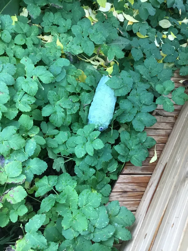 Gallery - created at 2019-11-06 20:19:44 - image 7 Gallery - created at 2019-11-06 20:19:44 - image 7