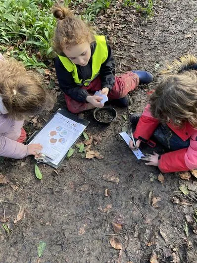 Forest School 44 - image 4 Forest School 44 - image 4