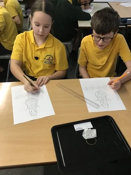 Science -gallery - image 5