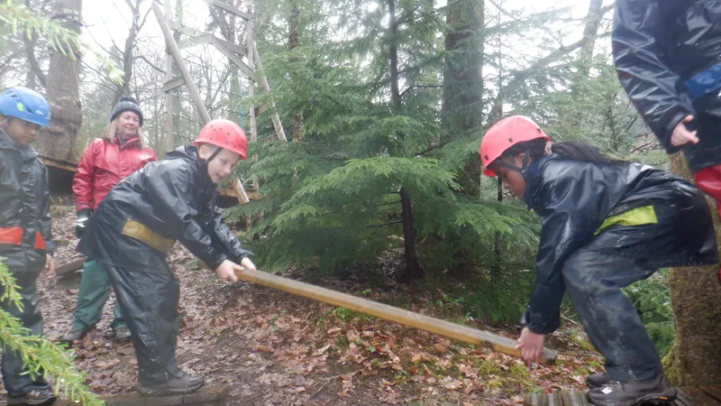 Gallery - created at 2024-02-27 21:54:15 - image 23 Gallery - created at 2024-02-27 21:54:15 - image 23