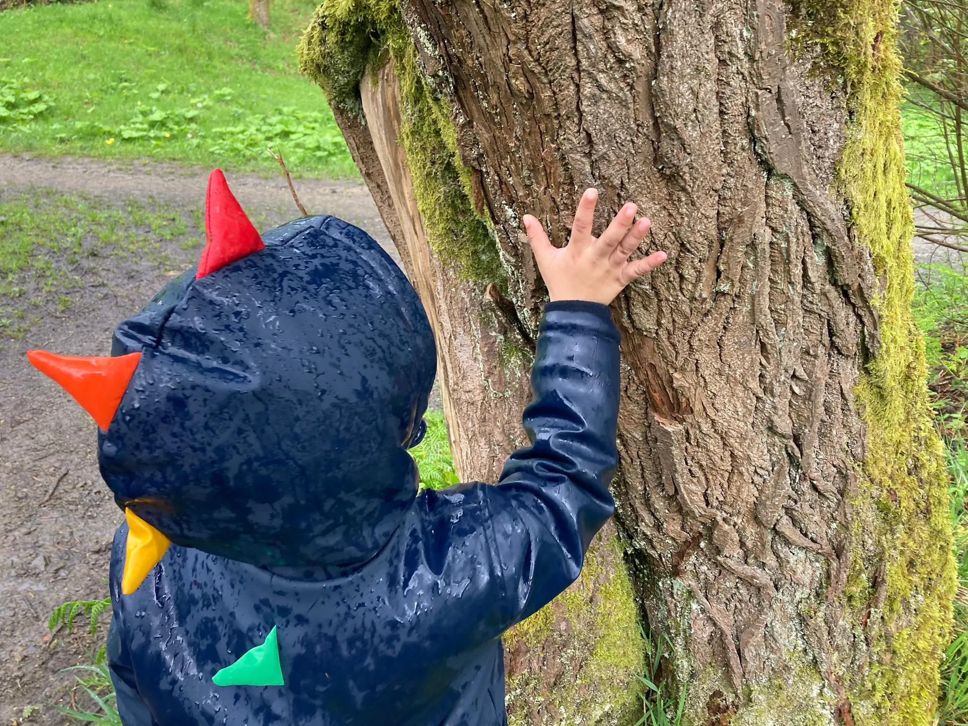 Healey Dell - image 10