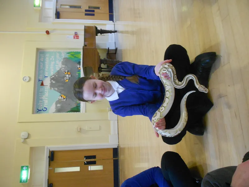 Y6 Reptile Rendezvous - image 48