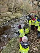 Forest School 55 - image 3 Forest School 55 - image 3