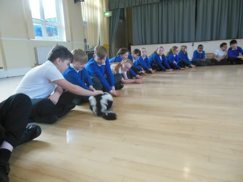 Y6 Reptile Rendezvous - image 25