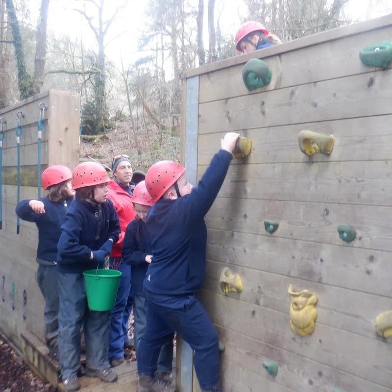 Gallery - created at 2025-02-27 19:57:56 - image 8