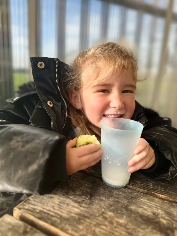 Tesco Fruit & Veg Scheme - image 13 Tesco Fruit & Veg Scheme - image 13