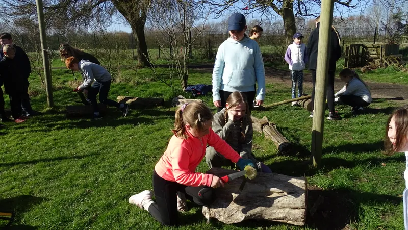 Years 5&6 Forest Schools - image 16