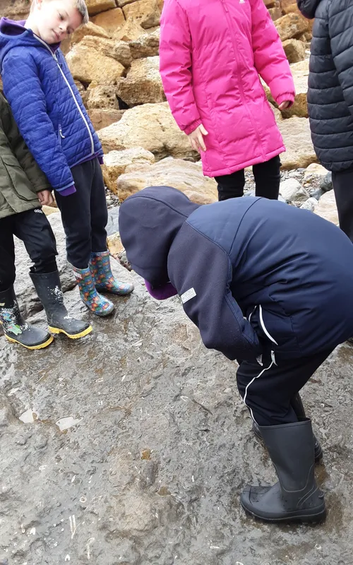 Gallery - created at 2024-10-11 14:26:20 - image 20 Gallery - created at 2024-10-11 14:26:20 - image 20