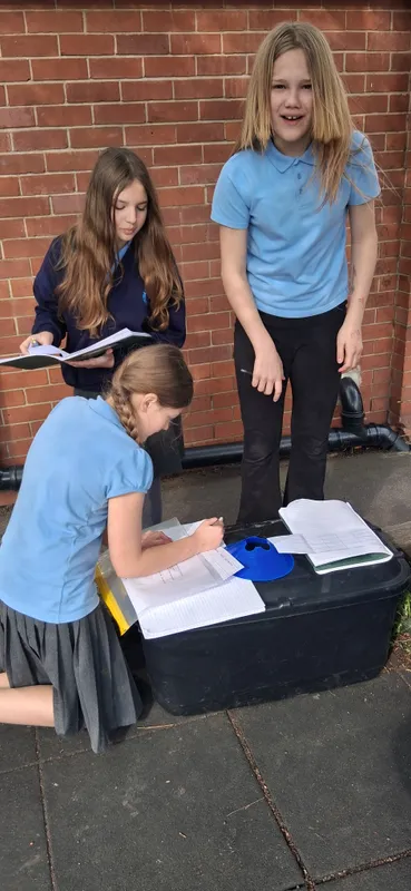 y6 active learning - image 3