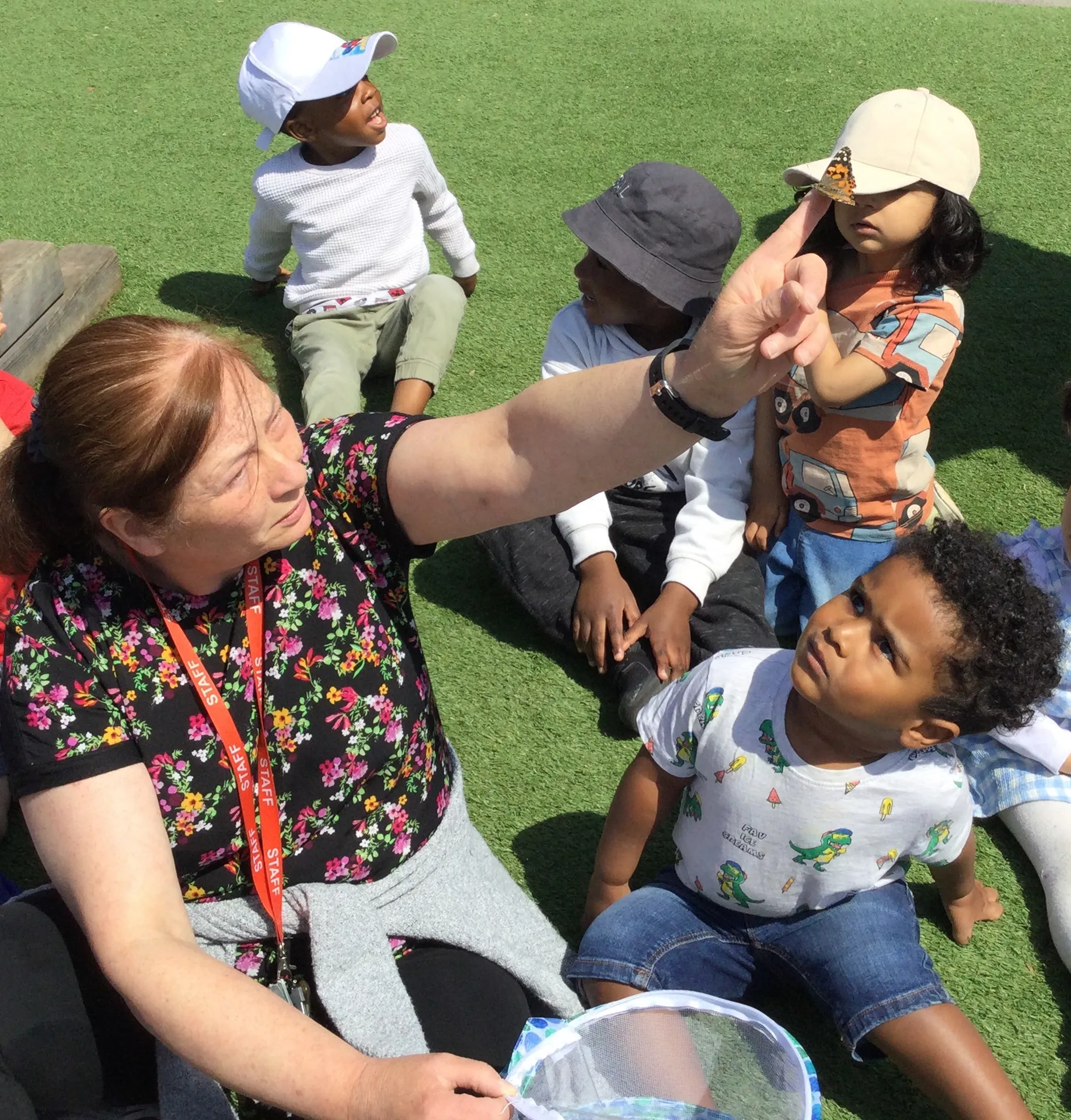 Life Cycles - image 2