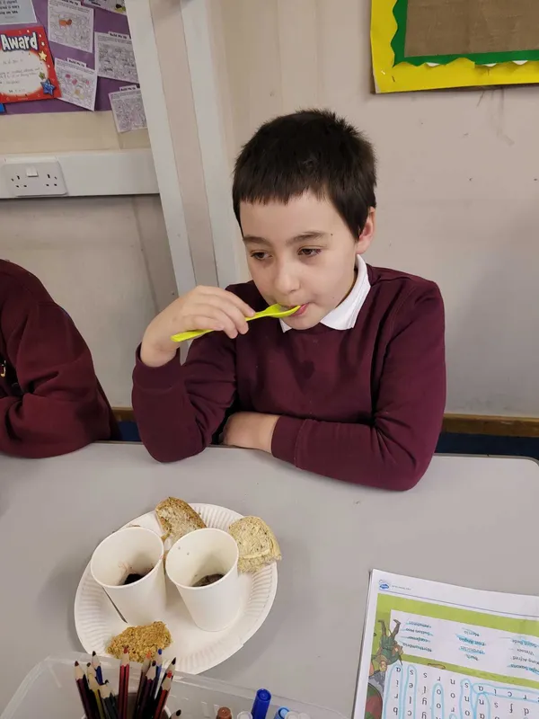 Gallery - created at 2024-02-16 08:15:56 - image 4