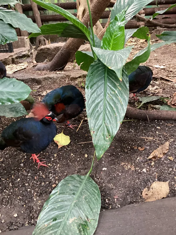 Gallery - created at 2025-03-14 10:11:21 - image 19 Gallery - created at 2025-03-14 10:11:21 - image 19