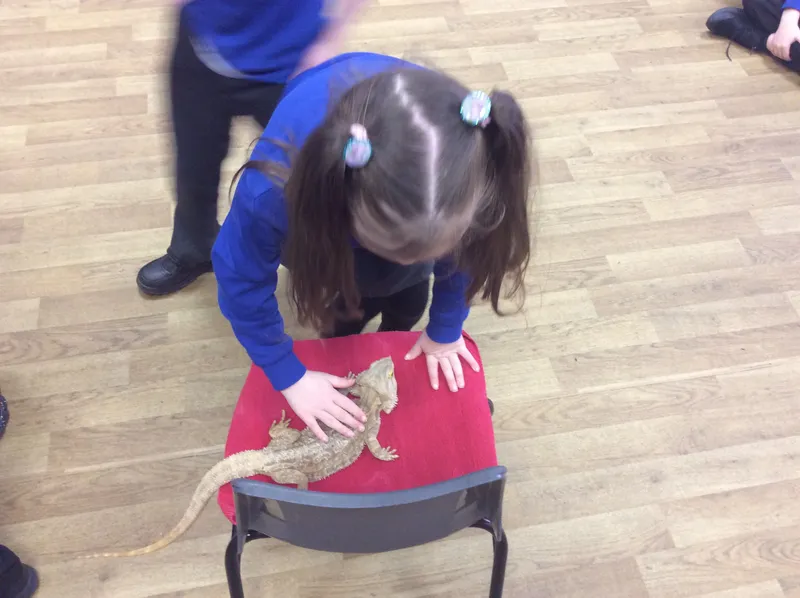 Gallery - created at 2024-03-05 13:52:56 - image 33 Gallery - created at 2024-03-05 13:52:56 - image 33