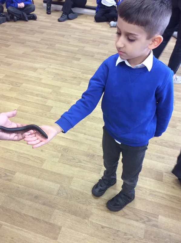 Gallery - created at 2024-03-05 13:52:56 - image 48 Gallery - created at 2024-03-05 13:52:56 - image 48