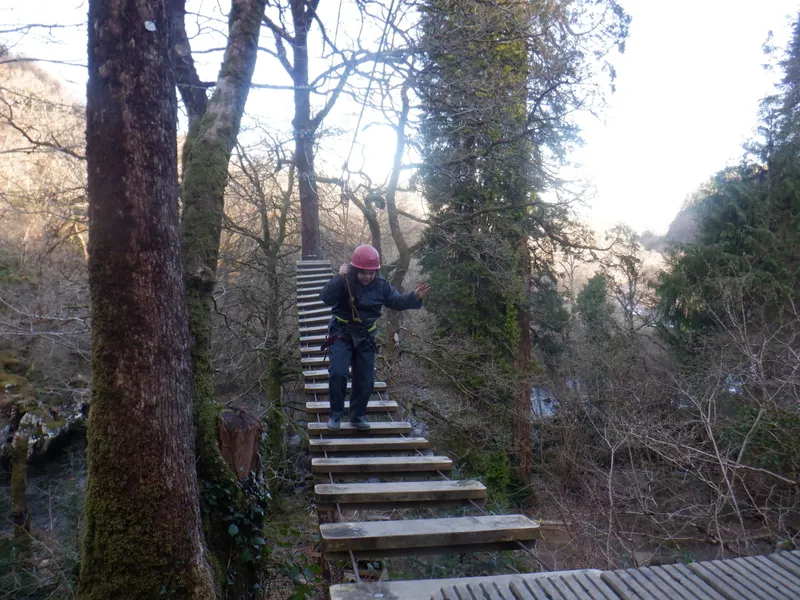 Gallery - created at 2025-02-27 19:57:56 - image 27