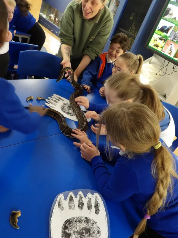 Y3 Yorkshire Wildlife Park Trip - image 49