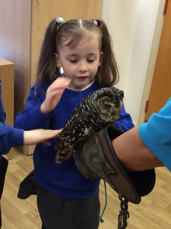 Gallery - created at 2024-02-26 17:15:57 - image 35 Gallery - created at 2024-02-26 17:15:57 - image 35