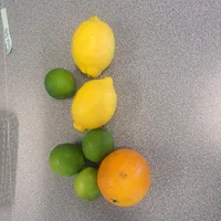 Art Mock Exam Work 2026 - image 18