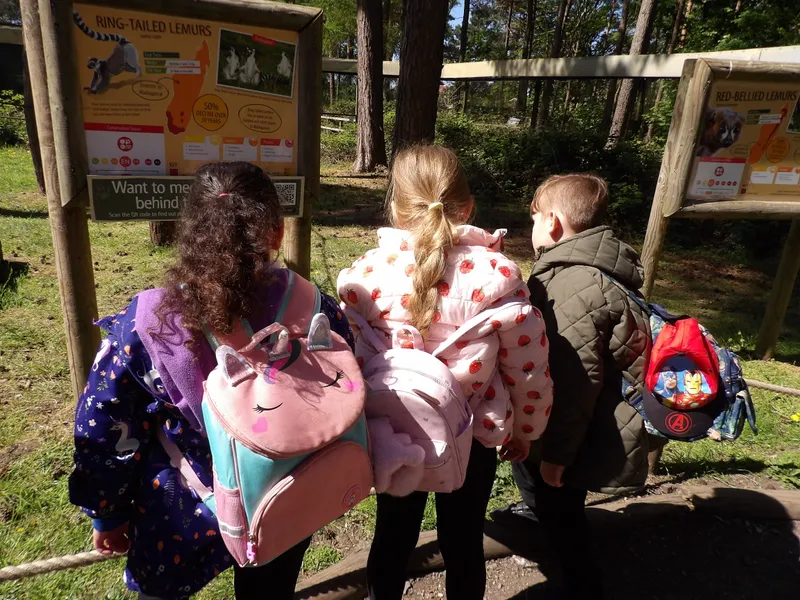 Y3 Yorkshire Wildlife Park Trip - image 67