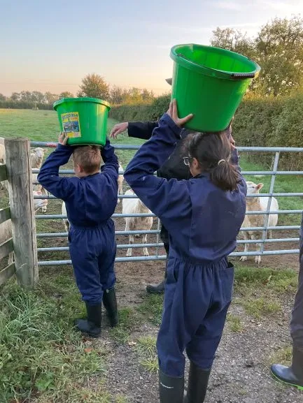 Farm 2025 - Gallery 3 - image 2