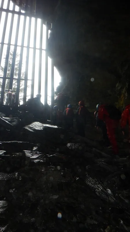 Gallery - created at 2024-02-28 19:37:21 - image 20 Gallery - created at 2024-02-28 19:37:21 - image 20